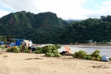 Amazonie bolivienne: selva et pampa !